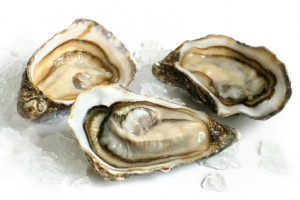 Raw oysters with ice