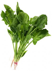 Spinach leaf