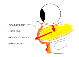 スクリーンショット (14)